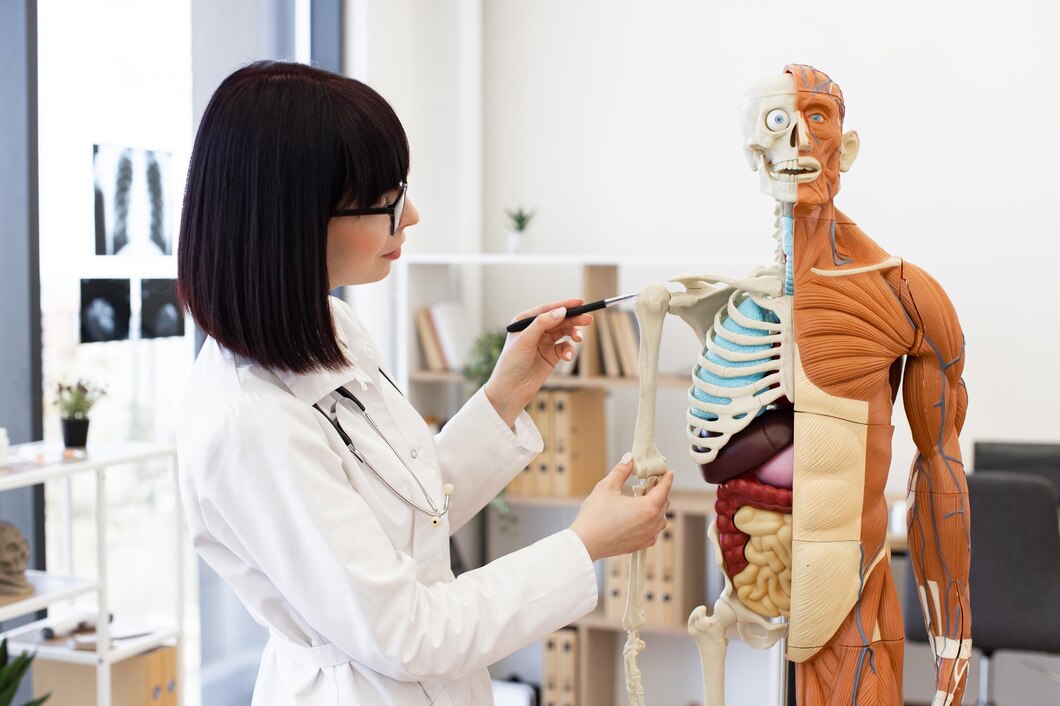Level 3 Award in Understanding Human Anatomy and Physiology